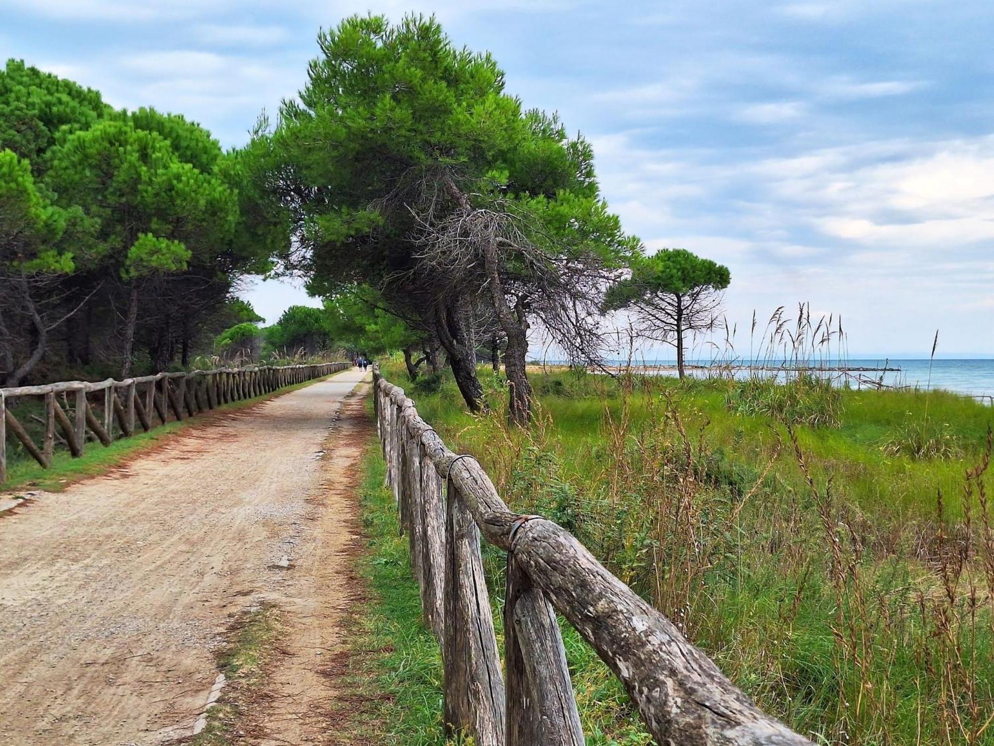 Enjoy Our Colorful Flat With Sea View - Beahost Bibione